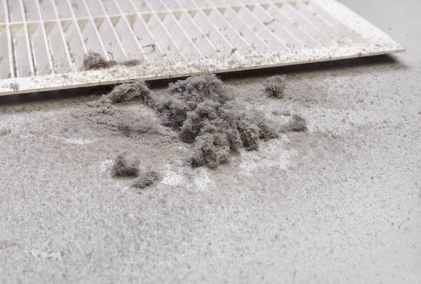 Best Best Air Duct Cleaning Company  in Wadsworth, IL