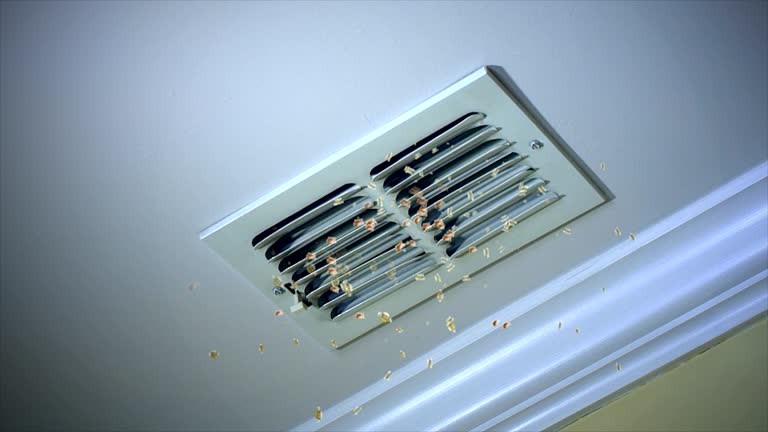 Best Home Air Vent Cleaning  in Wadsworth, IL