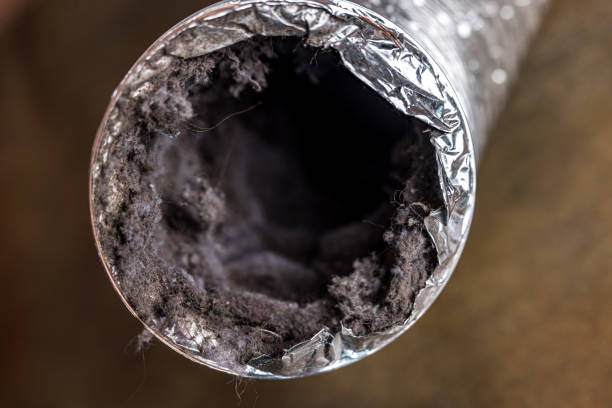 Best Affordable HVAC Duct Cleaning  in Wadsworth, IL