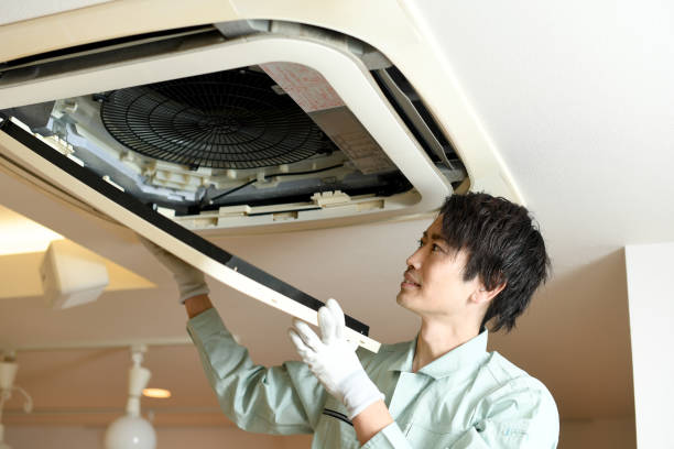 Best Home Air Vent Cleaning  in Wadsworth, IL
