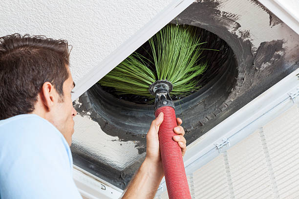 Best Affordable Air Duct Cleaning  in Wadsworth, IL