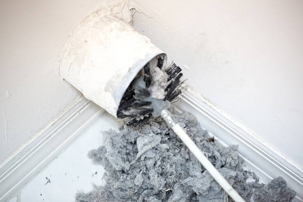 Best Air Quality Test  in Wadsworth, IL